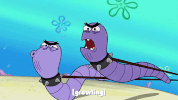 season 9 episode 26 GIF by SpongeBob SquarePants