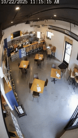 Trending Vibe GIF by Darwin