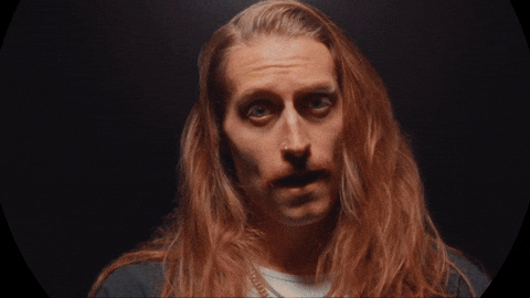 The Home Team Cat GIF by Thriller Records