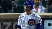Cubs GIF by Marquee Sports Network