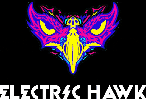 electrichawk giphygifmaker GIF