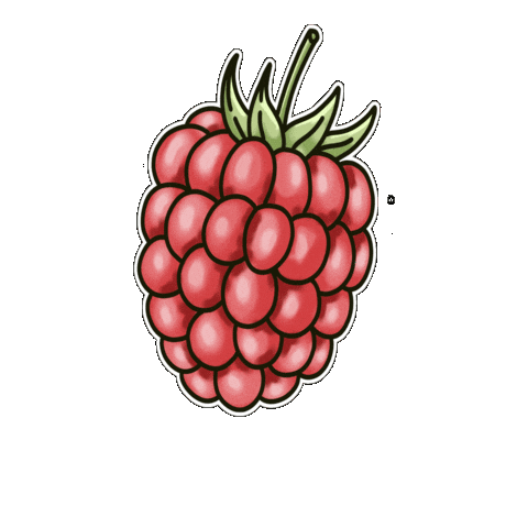 Fruit Hand Drawn Sticker