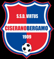 Radiatori2000 football sport goal team GIF