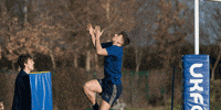 SaleSharks rugby sale sharks salesharks gallagherprem GIF