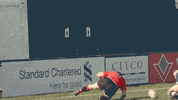 jerseyreds celebration try jerseyreds jerseyredsathletic GIF