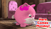 Angry Cat GIF by HangryPetz