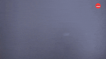 Alone At Last