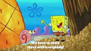 season 9 episode 21 GIF by SpongeBob SquarePants