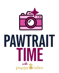 Photo Shoot Dog Sticker by puppytales
