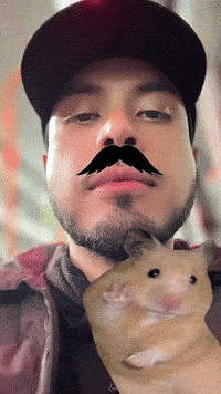 Hamster Mustache GIF by EDGARDUDE