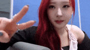 K Pop Peace GIF