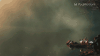 Animated Cartoon Flowers Liquid Motion