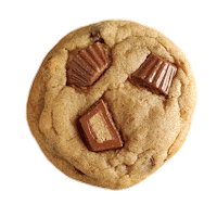 Cookies Sticker by chocobake