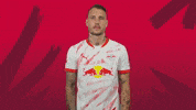 Sport Dive GIF by RB Leipzig