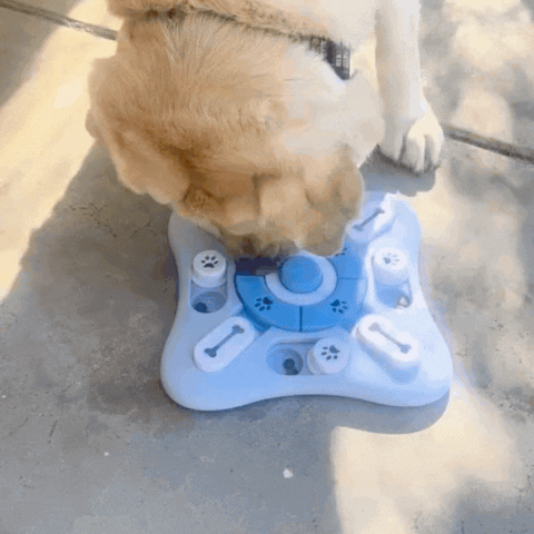 magnetify giphyupload GIF