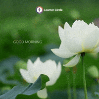 Good Morning Flower GIF by Learner Circle