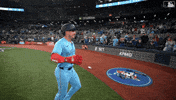 High Five Blue Jays GIF by Toronto Blue Jays