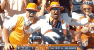 Regular Season Football GIF by NFL