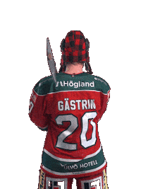 Hockeyallsvenskan Sticker by MoDo Hockey