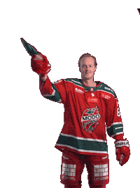 Ice Hockey Hockeyallsvenskan Sticker by MoDo Hockey