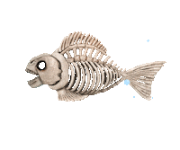 halloween fish Sticker by Chris Timmons