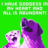 los angeles lol GIF by MUTANT MAGIC