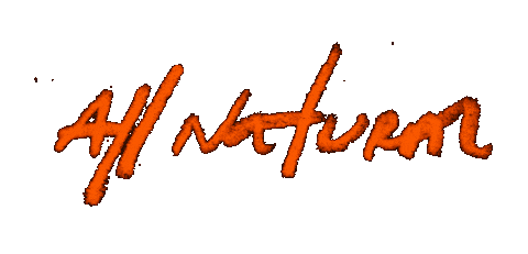 Sexy New Music Sticker by Rita Ora