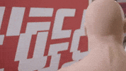 Vicente Luque Mma GIF by UFC