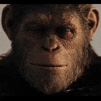 Rest In Peace Monkey GIF