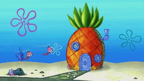 episode 1 whirly brains GIF by SpongeBob SquarePants