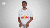 Football Calm Down GIF by FC Red Bull Salzburg