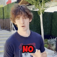 Flamingo Roblox Meme GIF