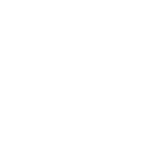 flair_airlines_official travel lets go plane flair Sticker