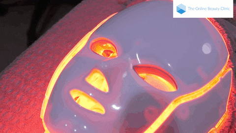 CaviBeauty giphyupload GIF