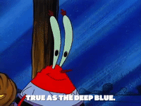 season 1 episode 13 GIF by SpongeBob SquarePants