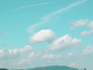 Art Design Spring GIF