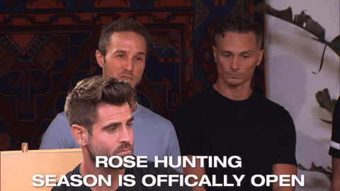 Episode 2 Rose GIF by The Bachelorette