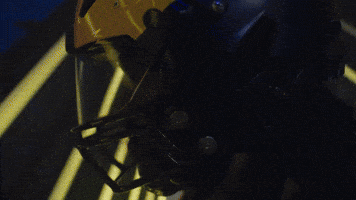 Go Blue Michigan Football GIF by Michigan Athletics