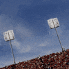 touchdown crave GIF by Wingstop
