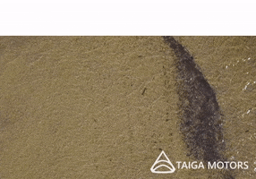 taigamotors hot summer water pool GIF