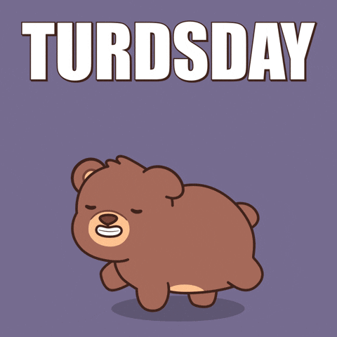 Teddy Bear Poop GIF by BEARISH
