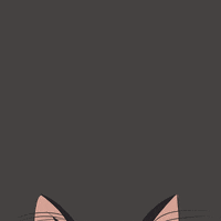 kittydoodling cat what hello wtf GIF