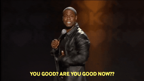 bobbygreen1417 giphygifmaker kevin hart you good seriously funny GIF
