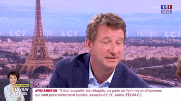 2022lecologie 2022 eelv jadot yannick jadot GIF