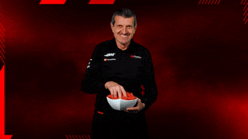 Formula 1 Icon GIF by Haas F1 Team