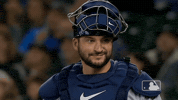 Major League Baseball Sport GIF by MLB