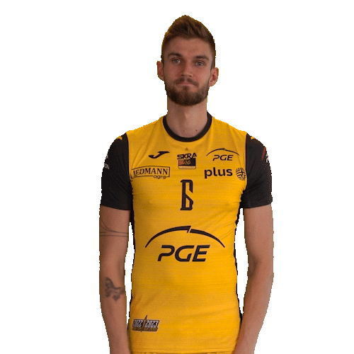 Belchatow Sticker by PGE Skra Bełchatów