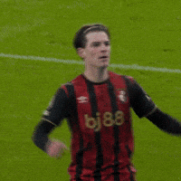 Happy Premier League GIF by AFC Bournemouth