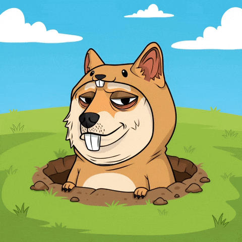 Shiba Inu Lol GIF by Doge Pound