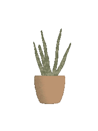 Aloe Vera Plant Sticker